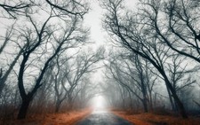 Landscape nature road trees mist fall Custom Gaming Mat Desk