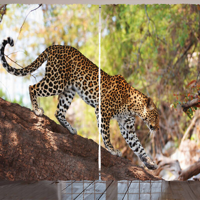 Zoo Rustikale Gardine Leopard Baum Nature Reserve