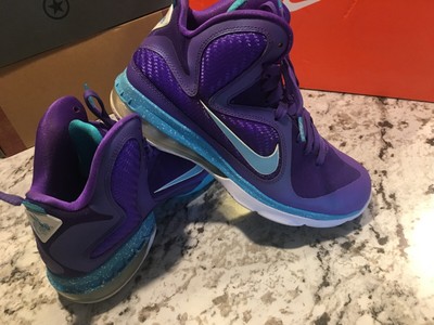 lebron james 9