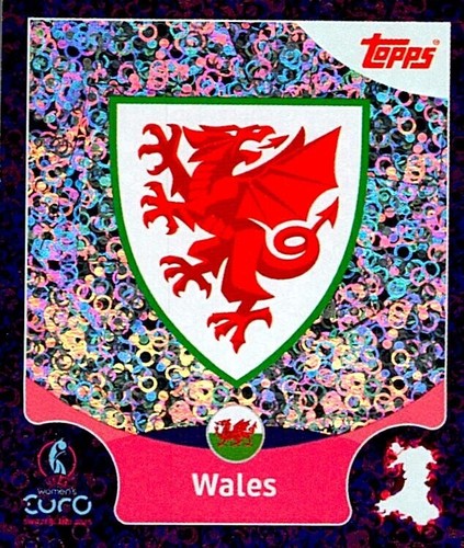 TOPPS UEFA WOMEN´S EURO SWITZERLAND 2025 STICKERS PARTE 1 (1 - 236) - Imagen 21 de 237