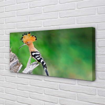 Tulup Leinwandbild 120x60 Wandkunst Baum bunter Papagei