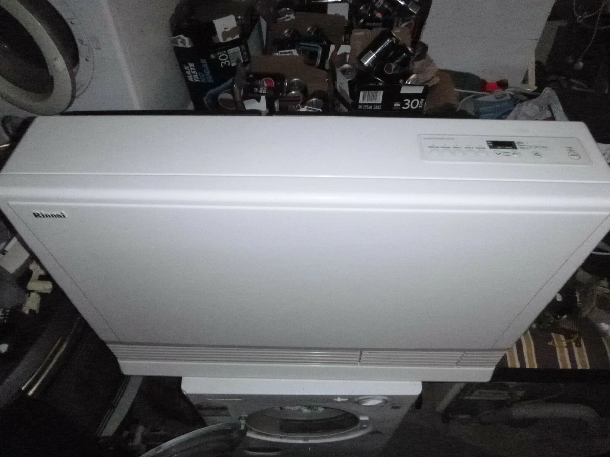 Rinnai 1005 FT Energy saver gas heater | eBay