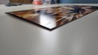 Bild 12 von 12