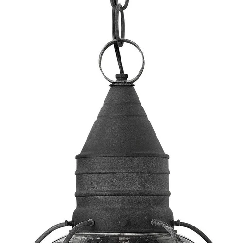 Hinkley Lighting - Cape Cod - 1 Light Medium Outdoor Hanging Lantern in - Picture 4 of 4