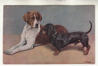 BB38. Alte Postkarte.  Zwei Hunde. Dackel und ein Hund Hund.