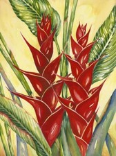 Ceramic Backsplash Tile Mural Floral Kitchen/Bathroom - Heliconia II