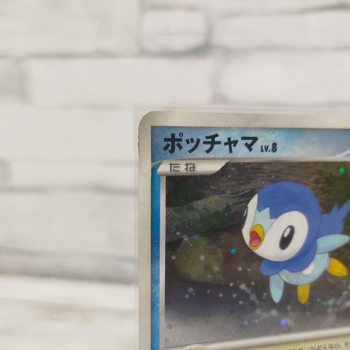 Piplup 003/ppp Players PROMO Pokemon card Japanese TCG Holo Rare