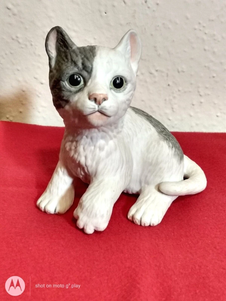 Kitten bisque cheap
