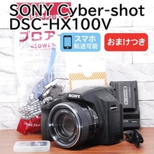 Sony Cyber-shot DSC-HX100V Compact Digital Camera with Accessories