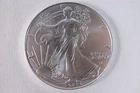 NobleSpirit (LG) GEM BU 2024 American Silver Eagle .999 1oz Stunning Luster