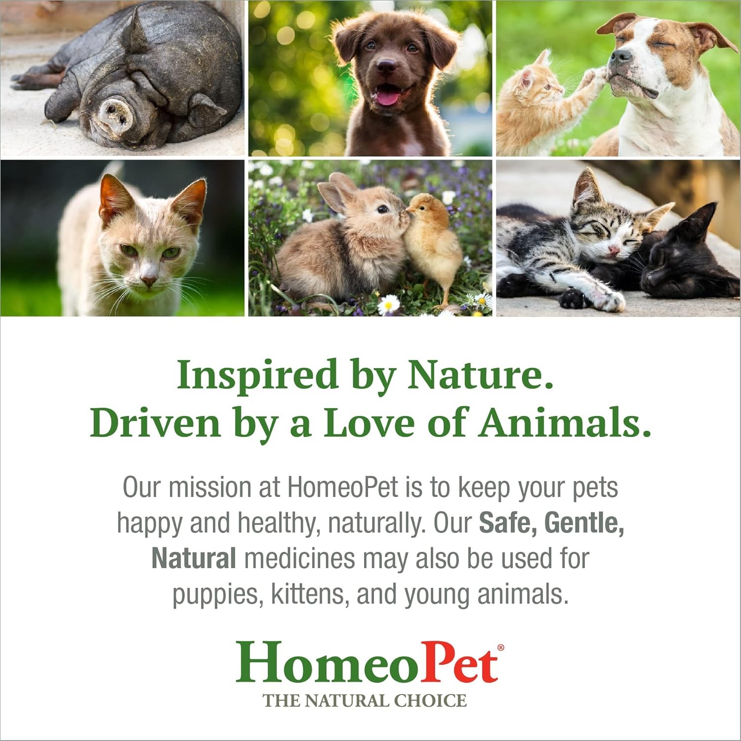 HomeoPet Leaks No More, Safe, Gentle, and Natural Cat Dog Urinary 15ml 