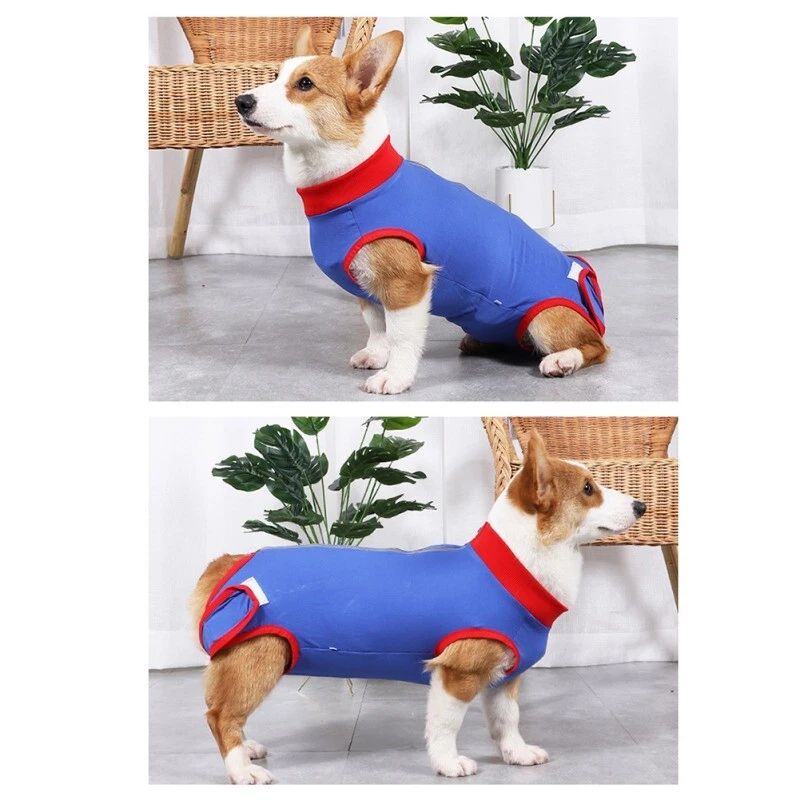 Cute Pet Dog Surgical Recovery Suit E Collar Cone Alternative T-Shirt  XS-3XL US