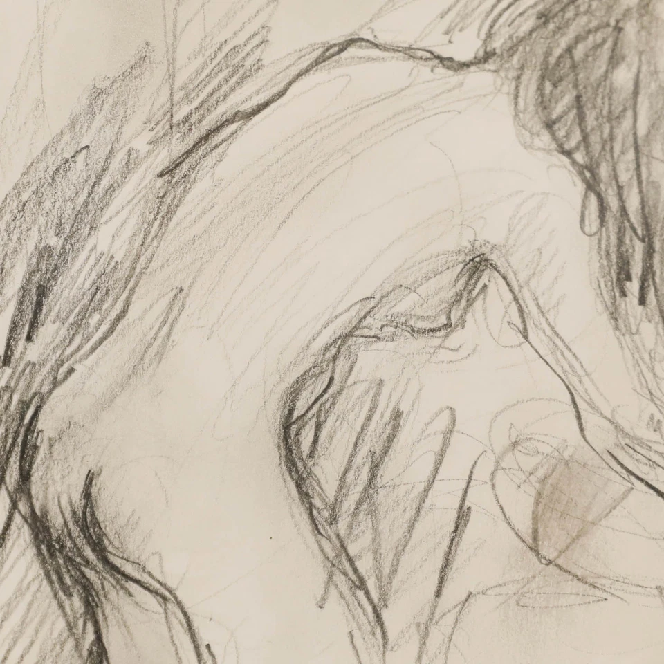 Glo Williams (n.1940) - Dibujo de grafito contemporáneo enmarcado, lavado rápido Foto 4 de 4