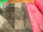 Bild 5 von 6