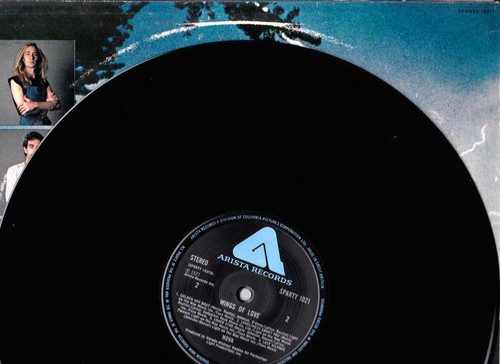 LPs 12" Singles 60s-90s Vinyl Collection INDIVIDUALLY PRICED, SELECT YOUR TITLES - Picture 417 of 635
