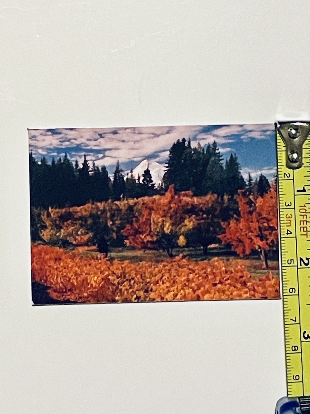 Picture 3 of 5