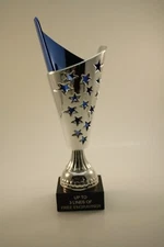 MEDIUM TROPHY CUP!  FREE ENGRAVING!