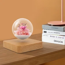 Magnetic Levitation Flower Light Floating Flowers with LED Light For Home Decro