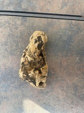 Natural Driftwood for Plants Terrarium Taxidermy Art Projects