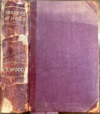 1883 INSECTS AT HOME by Rev. J.G. Wood hb/670pp + ENGRAVED PLATES by G. Pearson