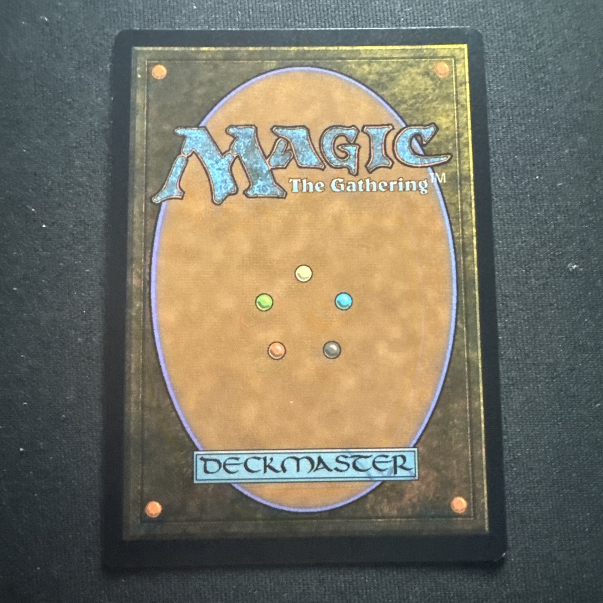 MTG Forest #721 Surge Foil The Lord of the Rings Tales of