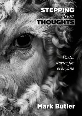 Mark Butler Stepping from Thoughts (Gebundene Ausgabe)