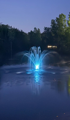 Floating Pond Fountain - 10,000 GPH - 1HP- 125ft Power Cord-  Aerator- Light kit