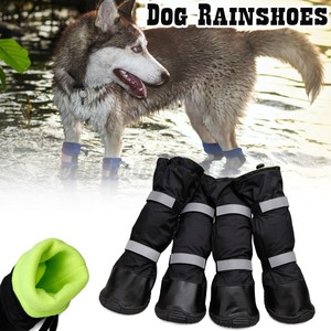 ebay dog boots