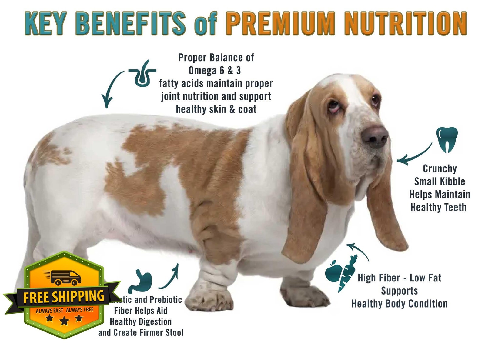 Weight Care Brown Rice Chicken Turkey 28lb