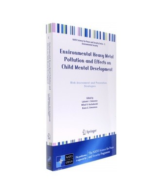 Environmental Heavy Metal Pollution and Effects on Child Mental Development: Ris