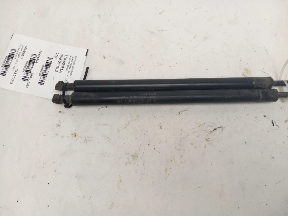 Puntal de puerta trasera para Nissan Quest 2004-2009 Foto 2 de 4