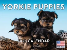 Yorkie Puppy Calendar 2026 Yorkshire Terrier Monthly Wall Calender 12 Month