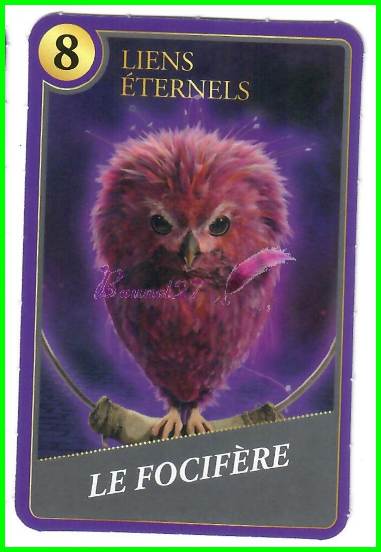 Carte HARRY POTTER ET ANIMAUX FANTASTIQUE Super U 2023 Moments Magiques au choix - Zdjęcie 71 z 79