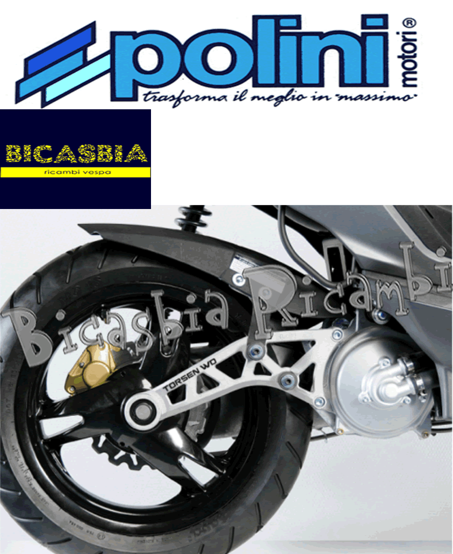 6414 Swingarm Polini Torsen WD Yamaha: Jog LC RR - R |