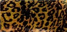 Foto 4 di 5