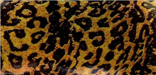 15cm Transferfolie Animalprint. Auswahl. Nagelfolie Nailart Nails - Bild 4 von 5
