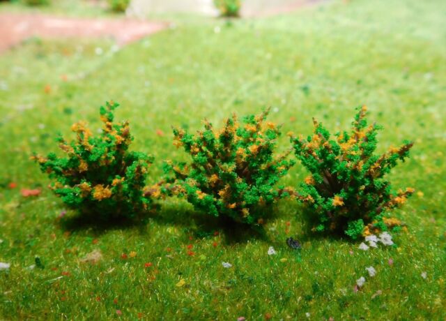10 dunkelgrüne Büsche Sträucher gelb blühend 28 mm hoch