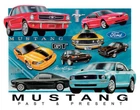 Ford 12.5x16 Licensed Metal Sign Desperate Enterprises USA