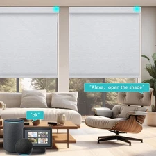 Changshade Blackout Smart Roller Shade with Remote Control Automatic Window Shad