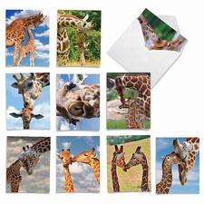 10 Blank All Occasion Cards Pack - Kissing Giraffes