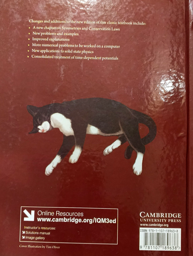 Introduction to Quantum Mechanics Griffiths Schroeter Hardback 9781107189638 3e - Picture 2 of 3