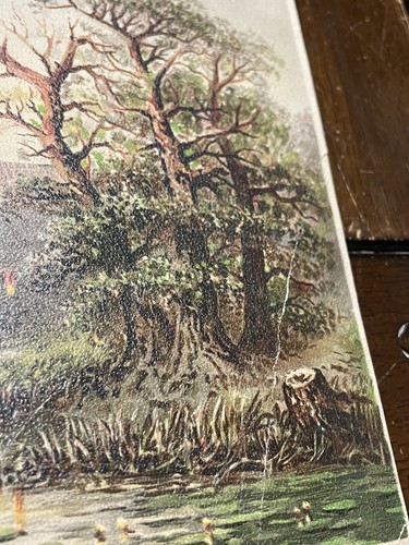 1800 CASTELLO VICINO REVAL RUSSIA Bellissima STAMPA FOTOGRAFICA MOLTO ANTICA - Foto 4 di 10