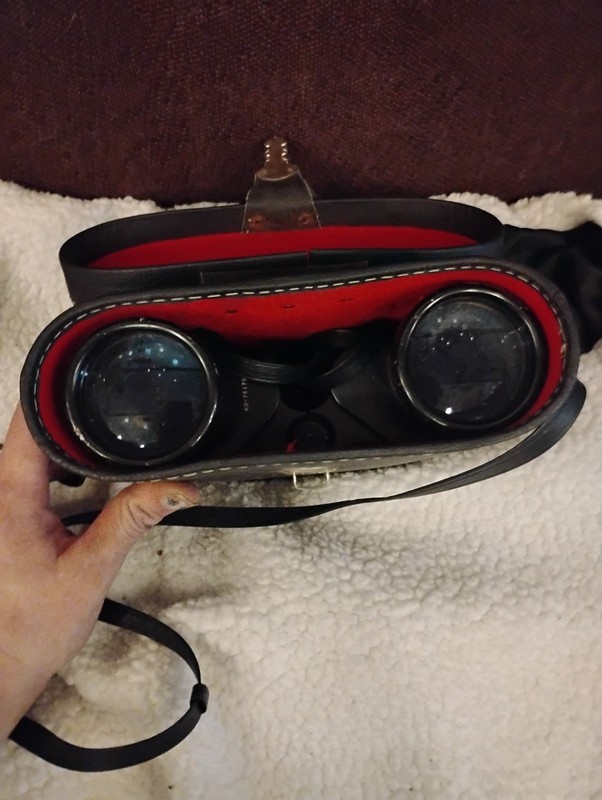 Vintage Collectible Binoculars