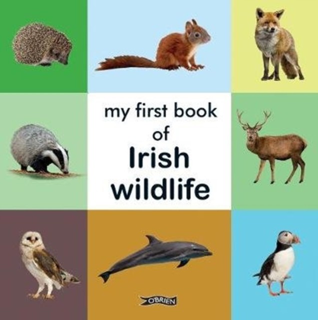 My First Book of Irish Wildlife (Board book)