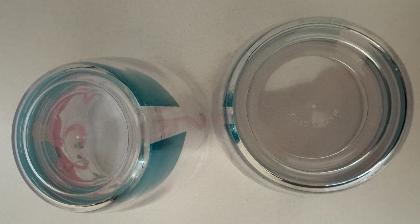 NEW 2 Boston Warehouse Plastic Double Walled Tumblers 16ozs Flamingo Ladies