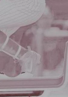 Printing Plate Magenta