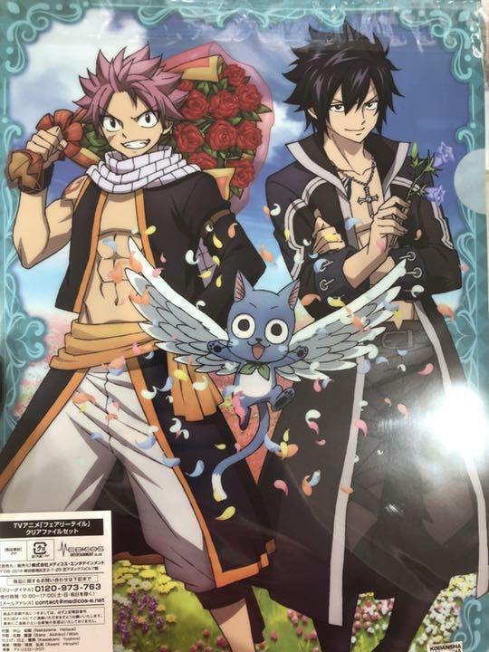 たかたぐさま専用フェアリーテイル A4クリアファイセット フェアリーテイル クリアファイル セット （Fairy Tail x