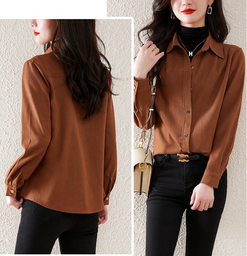 Women's Elegant Work loose long sleeve blouse autumn winter