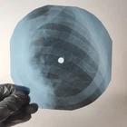 LED ZEPPELIN BLACK MOUNTAINE SI X-Ray USSR Record Roentgen Bone Ribs Music Vinyl