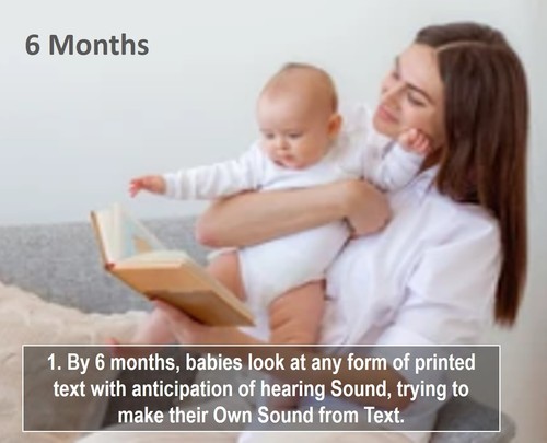 Visual Primer Early Learning Speech & Reading Education for Babies & Children - Picture 2 of 7